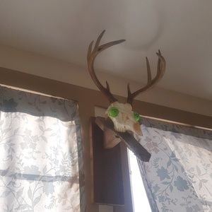 Meet your Posher, Nate